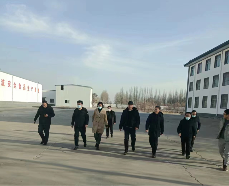 石嘴山市副市長(zhǎng)、惠農(nóng)區(qū)委書(shū)記王宇翔蒞臨寧夏興康恒潤(rùn)農(nóng)業(yè)科技發(fā)展有限公司調(diào)研