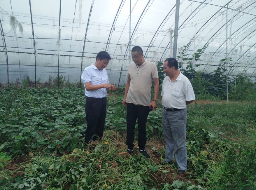 岳氏集團董事長岳平安赴博浩高效農業(yè)示范基地