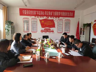 寧夏岳氏黨支部召開“不忘初心，牢記使命”主題教育專題組織生活會